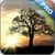 Sun Rising Live Wallpaper