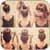 Hairstyle steps