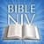 NIV Holy Bible