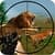 Forest Animals Hunting