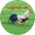 Village Food 786