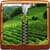 Tea Field Zipper Lock Screen