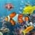 Fish Aquarium HD