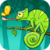 Chameleon: Catch The Fly