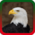 Eagle Ringtones
