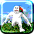 Crazy Jungle Games