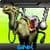 METAL SLUG X only