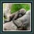 Live Wallpapers - Baby Animals