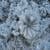 Flores Congeladas Wallpaper HD