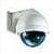 IP Cam Viewer Pro only