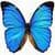 Amazing Beautiful Butterfly