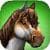 HorseWorld 3D Mein Reitpferd actual
