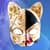 Cat Mask Photo Montage