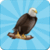 Dangerous Birds Game Free