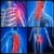 Best Treatment For Fibromyalgia