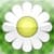 Bach Flower Remedies