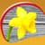 Daffodils Live Wallpapers