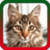 New Animals Ringtones