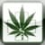 iweeducation