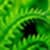 Hd Green photo wallpaper images 