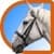 Horse Puzzle For Kids