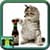 Photos Of Cats
