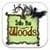 Into The Woods Quiz