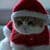 Santa Claus Cat Live Wallpaper