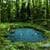 Magic Pond Live Wallpaper