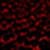 Red wallpaper  app
