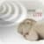 Baby Sleep Care Lite
