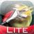 SciFly: Lite