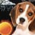 Puppy Weather Clock Widget