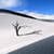 The Dune Live Wallpaper