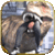 Dinosaur simulator: Dino world