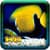 Fly Fishing HD Wallpaper