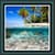 Live Wallpapers Under The Sea