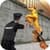 Prison Survive Break Escape