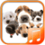 Dog sounds app