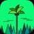 Forests And Jungles