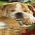 Cute Sleeping Bulldog