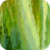 Greeny Waterfall Live Wallpaper