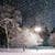 Winter Night Live Wallpaper 2