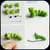 Modeling Idea Step by Step  