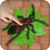 Ant Smasher Bugs Welt