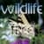 Sleepmaker Wildlife Free