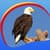 Best Eagle Live Wallpapers