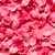 Rose Petals  Wallpaper