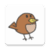 Bird Sounds Collection