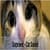 Talk Cat Translator